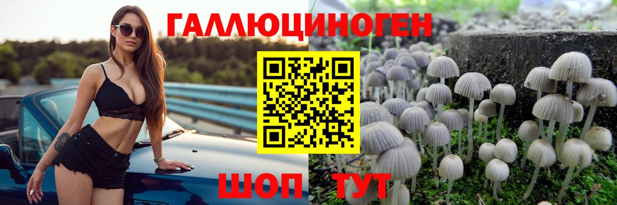 Псилоцибиновые грибы Cubensis Ликино-Дулёво